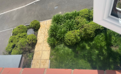 Front Garden 2.png