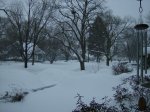 Storm 2011 001.JPG